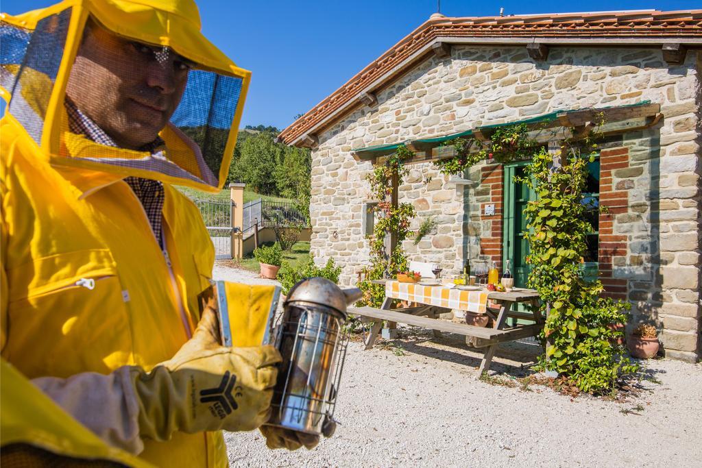 Agriturismo La Coccinella Valfabbrica ภายนอก รูปภาพ