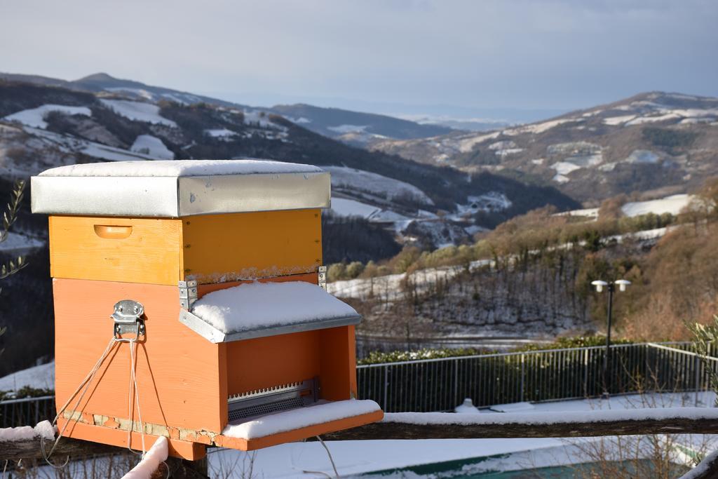 Agriturismo La Coccinella Valfabbrica ภายนอก รูปภาพ