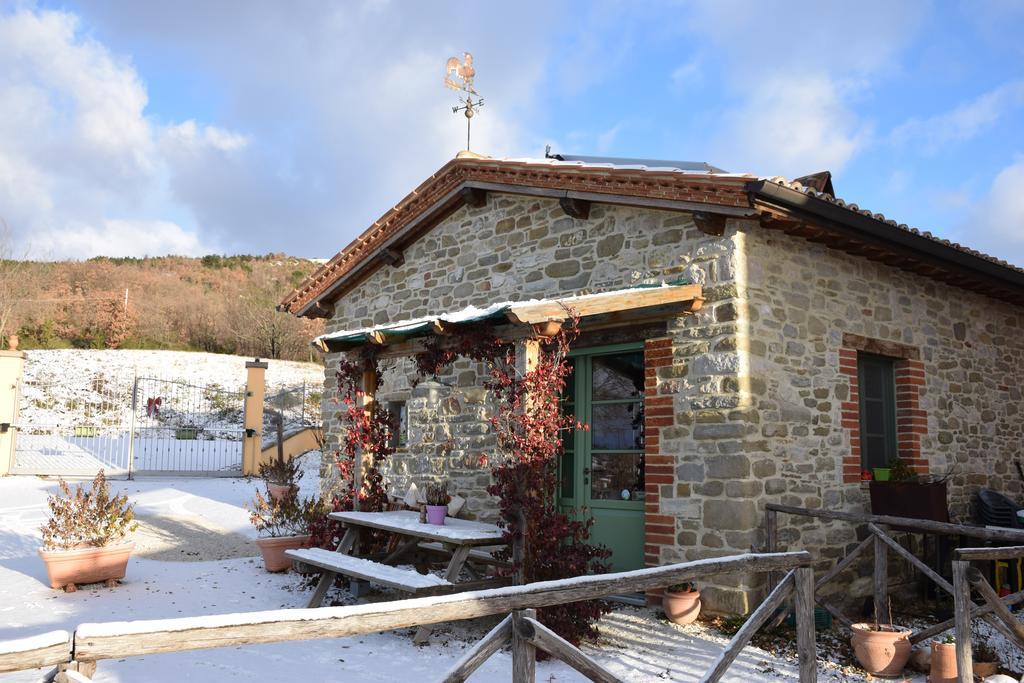 Agriturismo La Coccinella Valfabbrica ภายนอก รูปภาพ