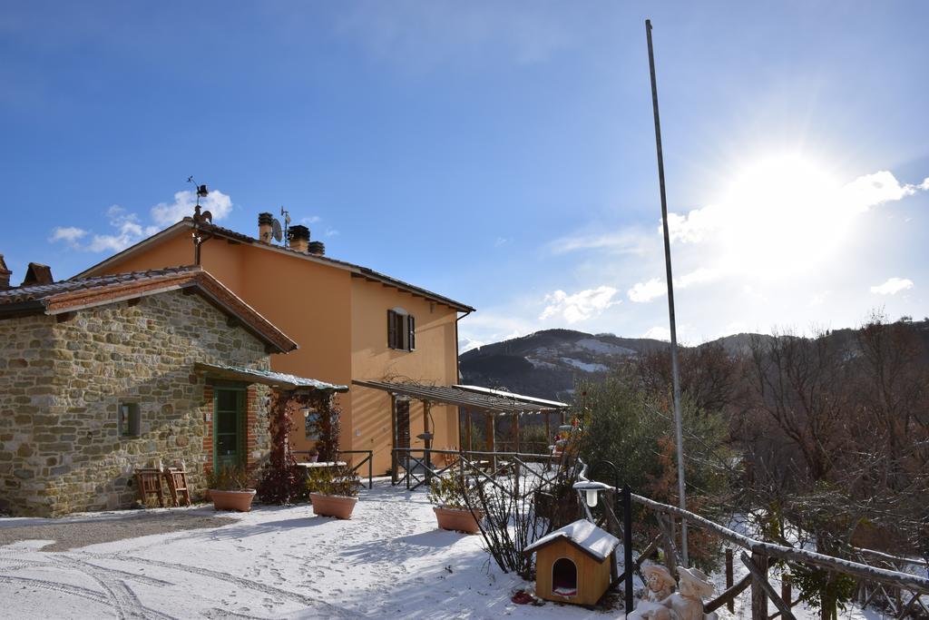Agriturismo La Coccinella Valfabbrica ภายนอก รูปภาพ